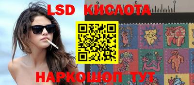 дмт Заводоуковск