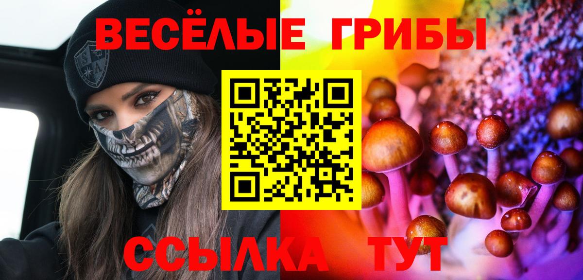 Королёв  Галлюциногенные грибы прущие грибы  Вход с VPN 
