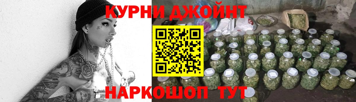 Бошки Шишки план Королёв